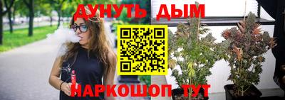СК Дубна