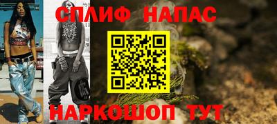 СК Дубна