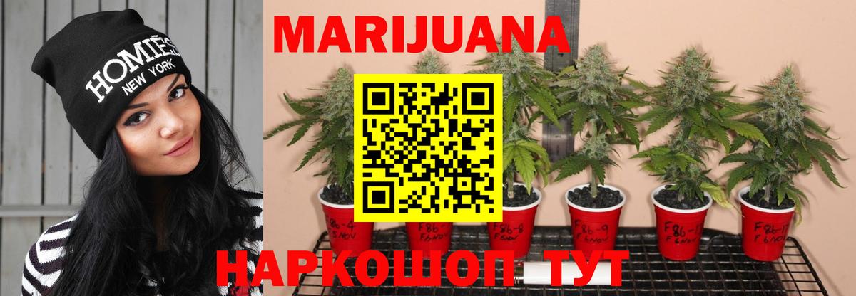 Бошки марихуана White Widow Курган